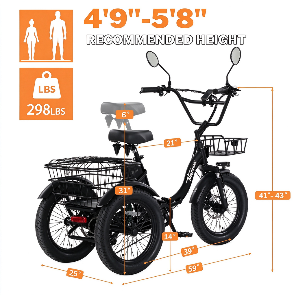Removable Battery 3 Wheel E-Bike
